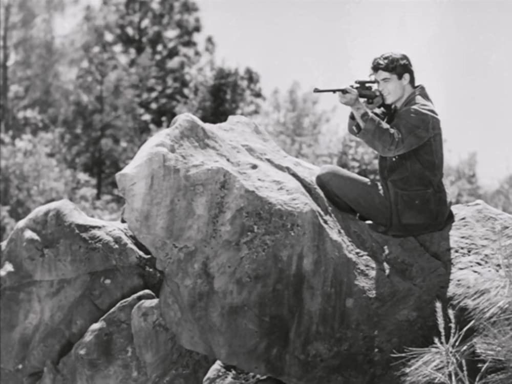 「赤い家」ロリー・カルホーンの画像