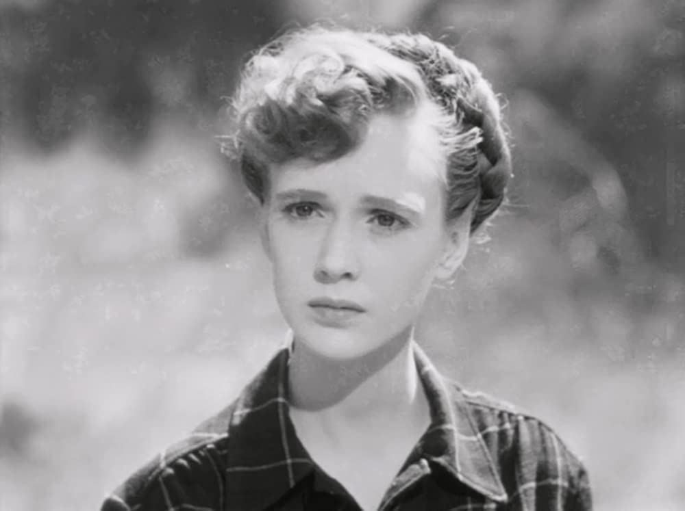 「赤い家」アレン・ロバーツの画像