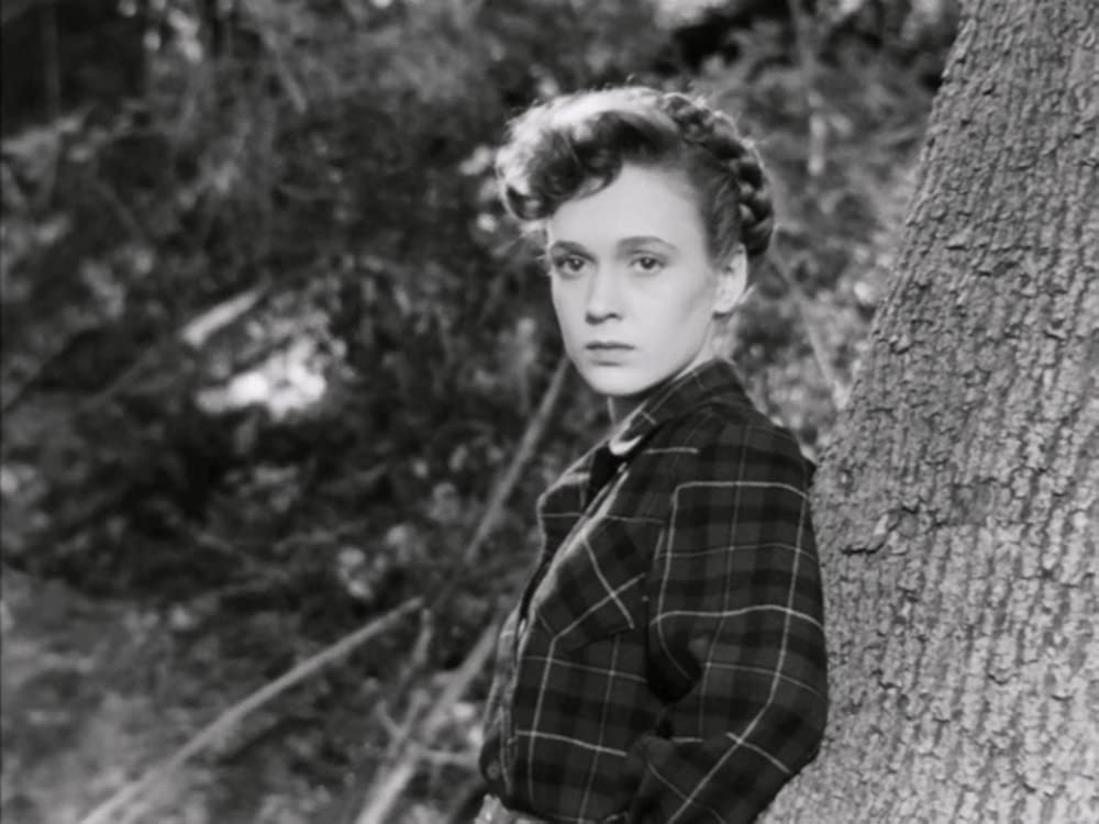 「赤い家」アレン・ロバーツの画像