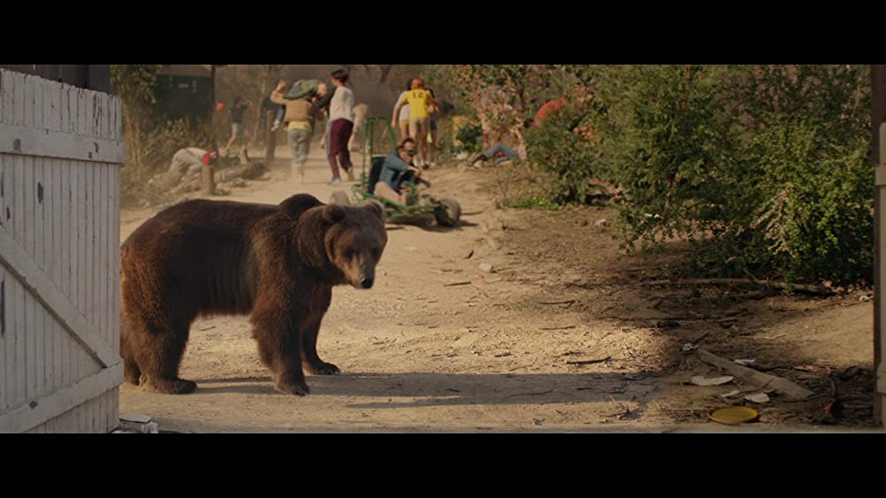 ジョニー・ノックスヴィル アクション・ポイント / ゲスの極みオトナの遊園地の画像