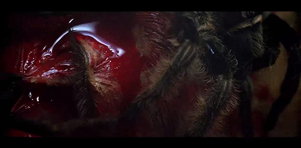 ビヨンドの画像