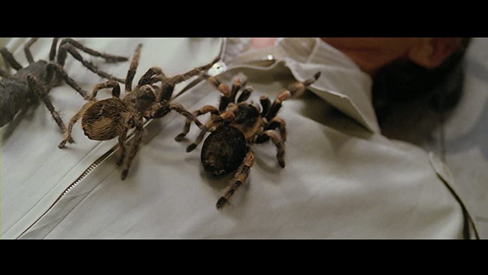 ビヨンドの画像