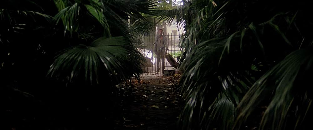 ビヨンドの画像