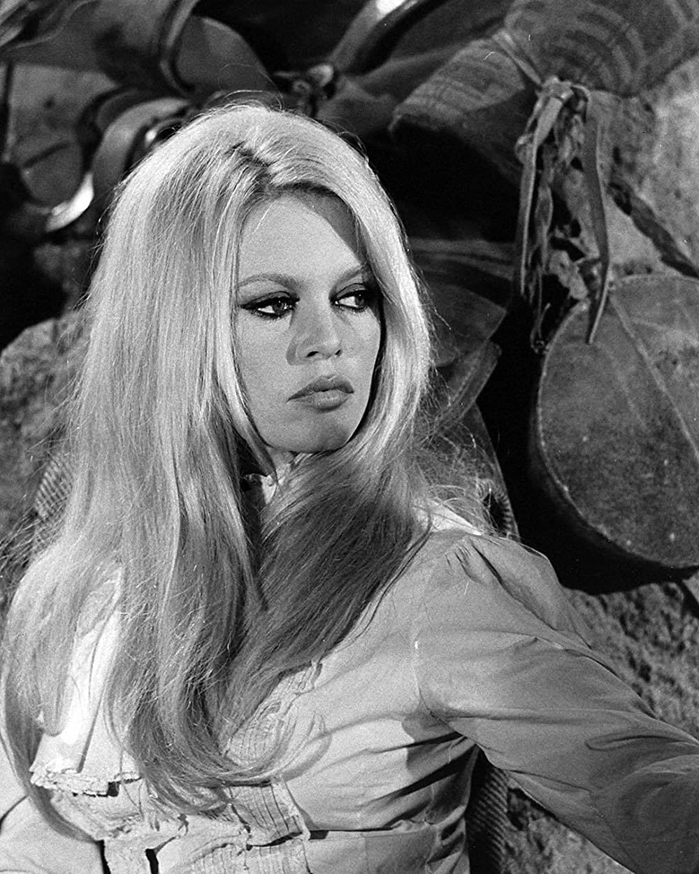 「シャラコ」ブリジット・バルドーの画像