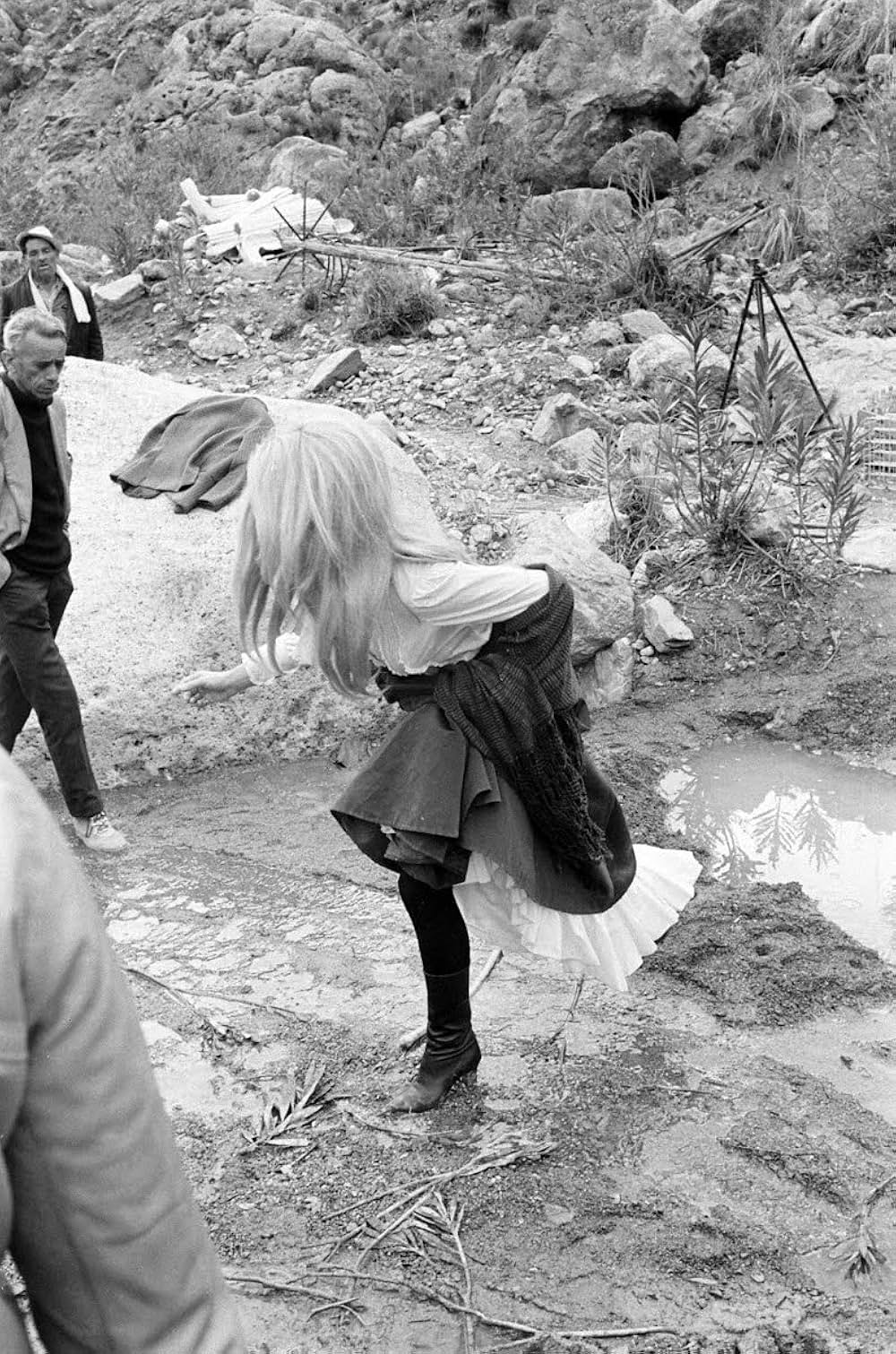 シャラコの画像