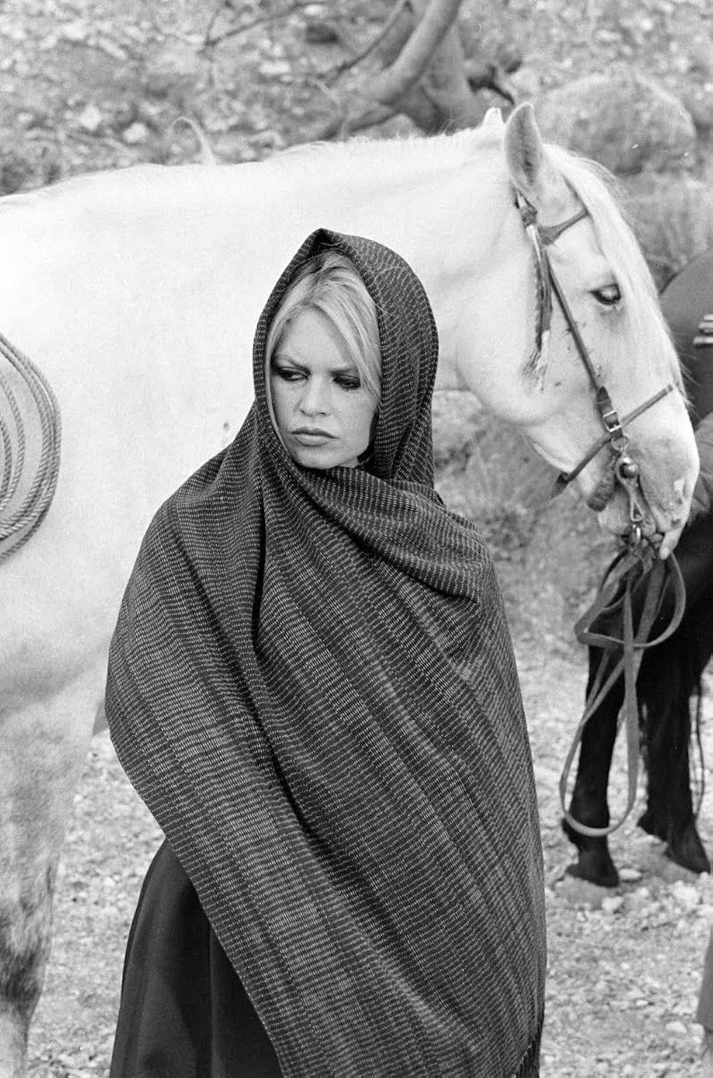 シャラコの画像