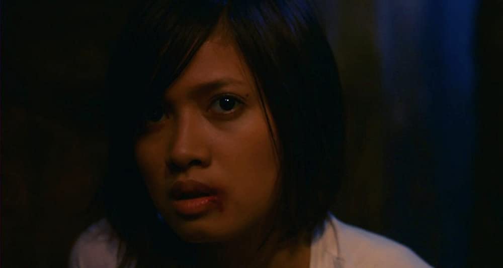 ザ・タイガーキッド 〜旅立ちの鉄拳〜の画像