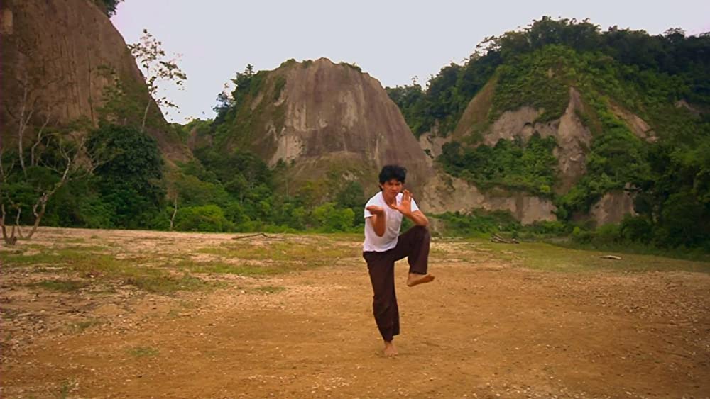 ザ・タイガーキッド 〜旅立ちの鉄拳〜の画像