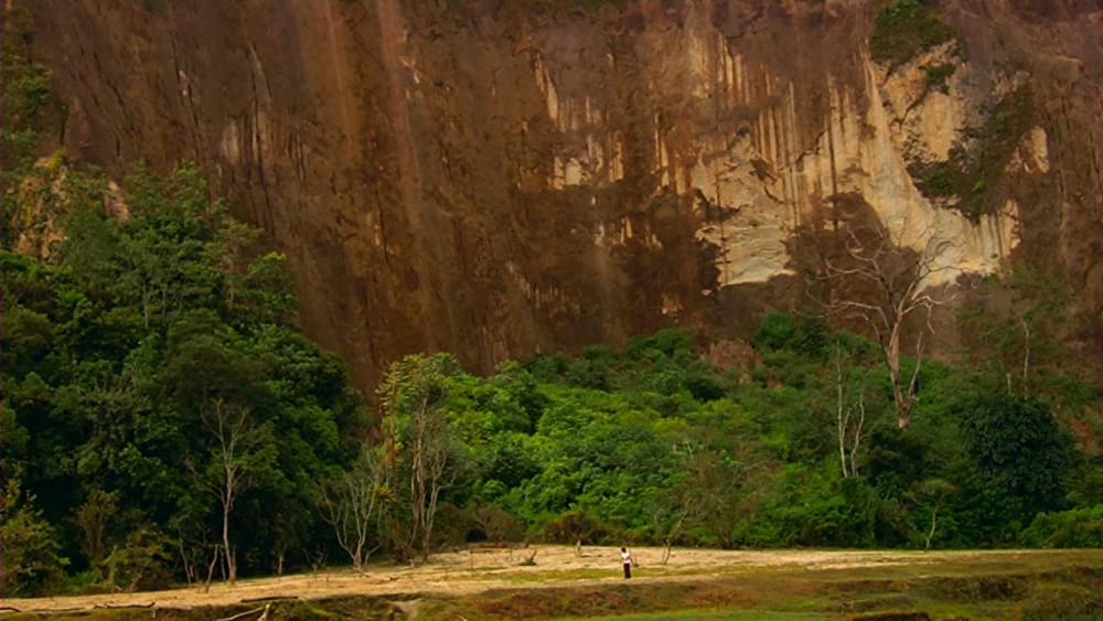 ザ・タイガーキッド 〜旅立ちの鉄拳〜の画像