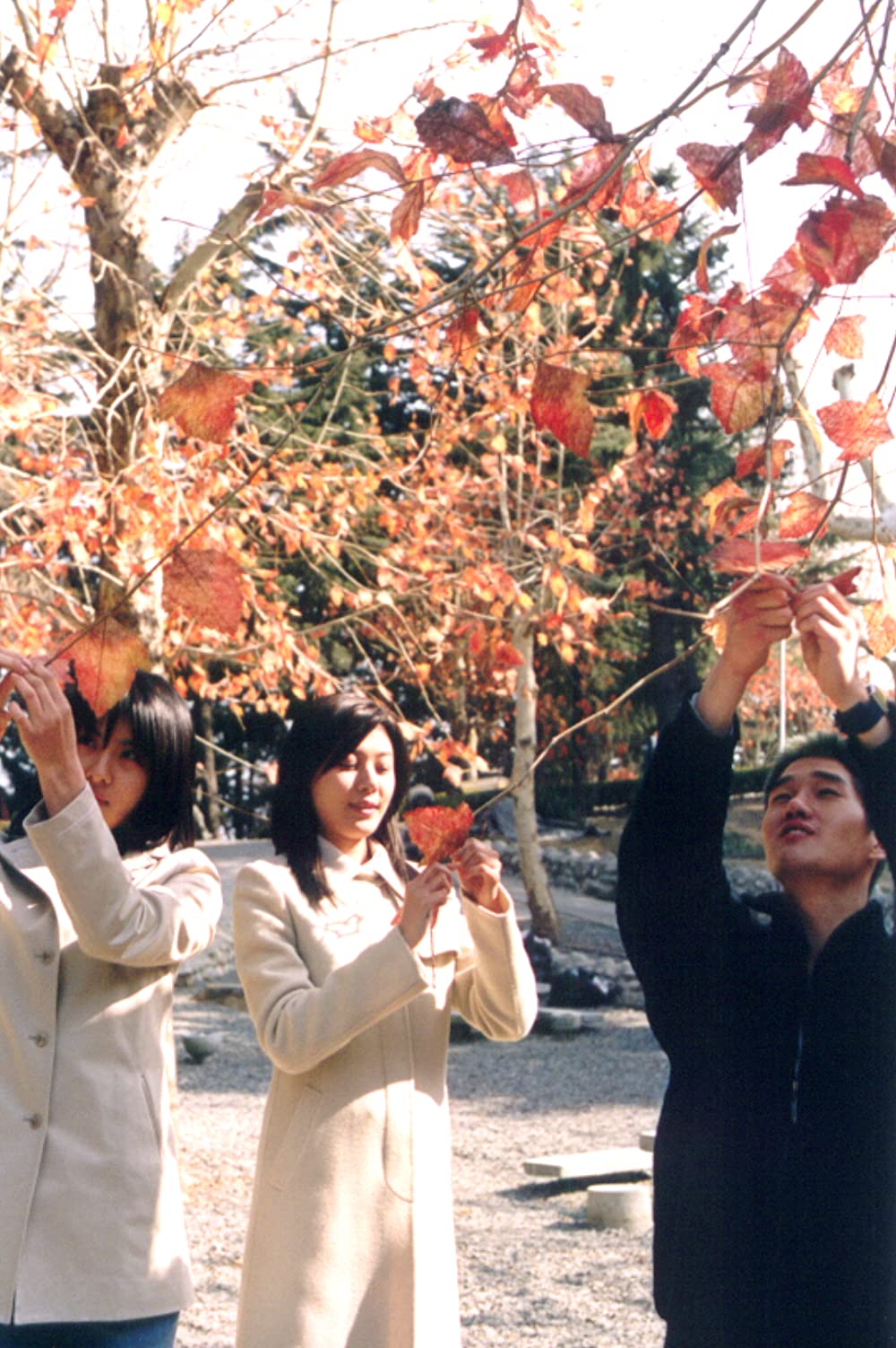 「リメンバー・ミー」ハ・ジウォン & ユ・ジテ & キム・ハヌル & カン・ハヌルの画像