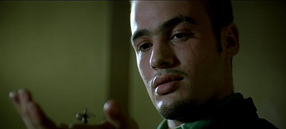 ライブ・フレッシュの画像