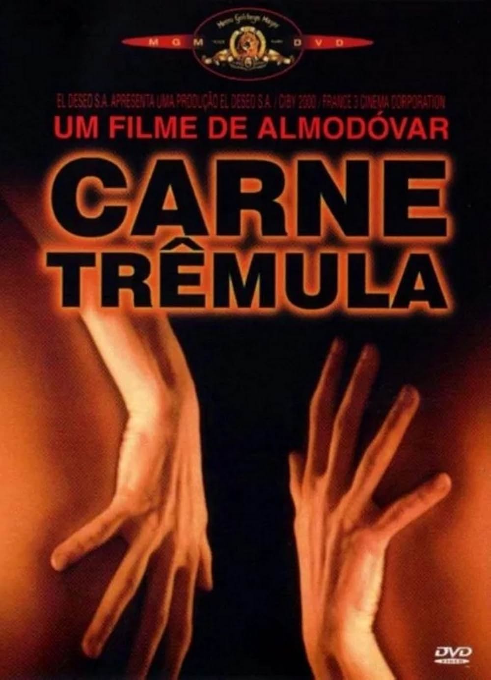 ライブ・フレッシュの画像