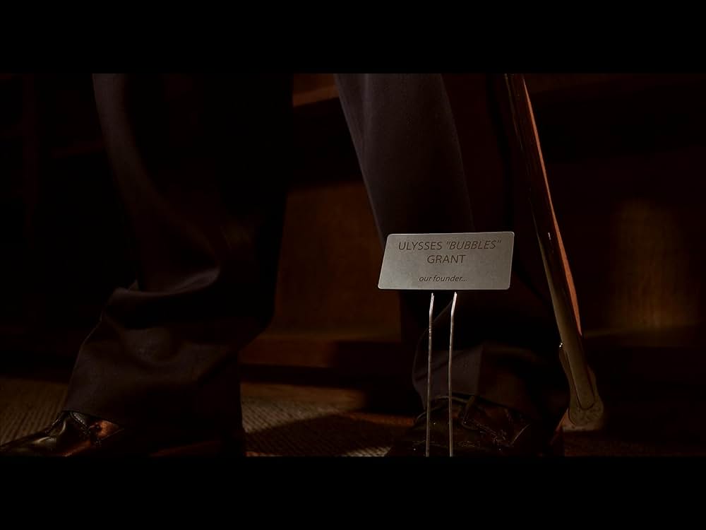 ハウスシャークの画像