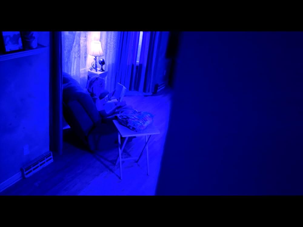 ハウスシャークの画像