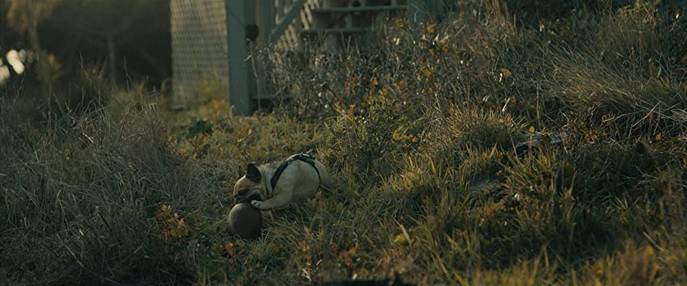 サイコハウス 血を誘う家の画像