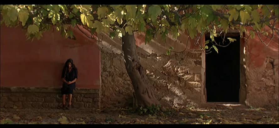 明日を夢見ての画像