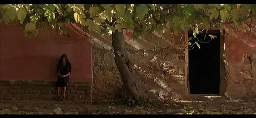 明日を夢見ての画像