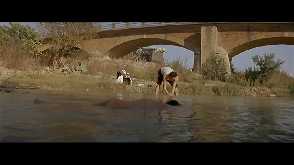 明日を夢見ての画像