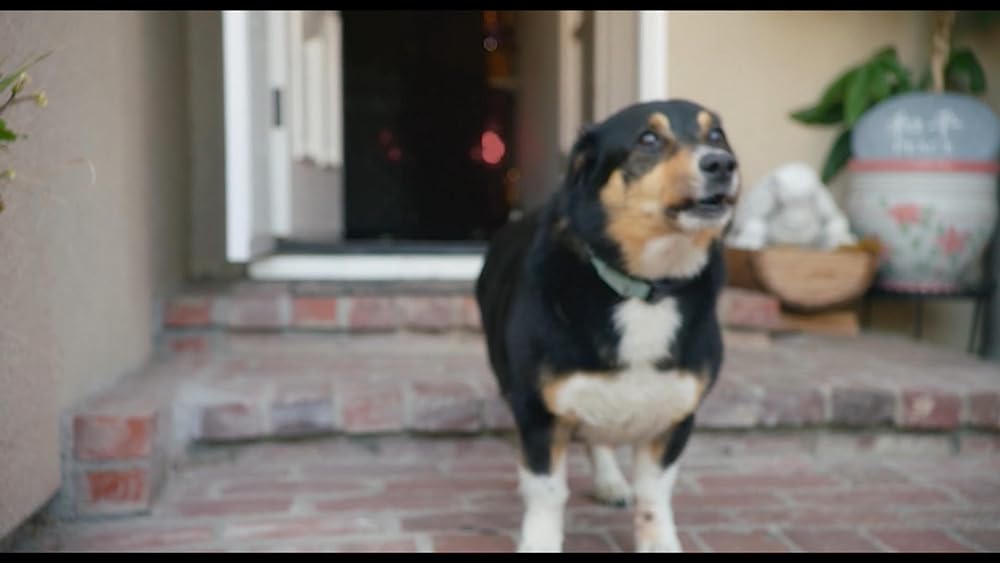 ドーナツキングの画像