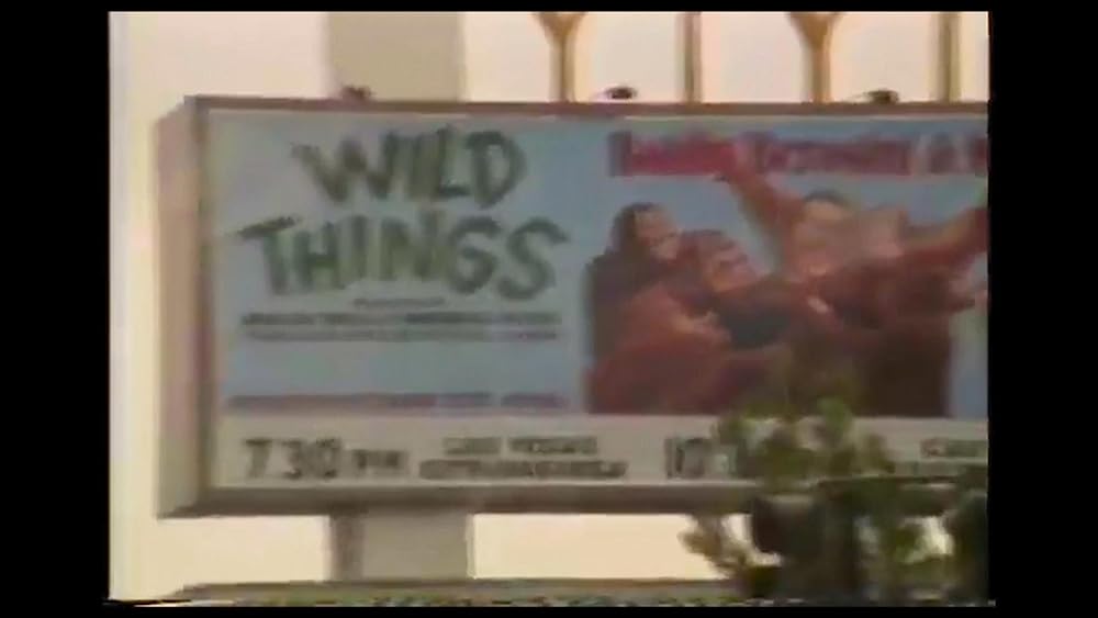 ドーナツキングの画像