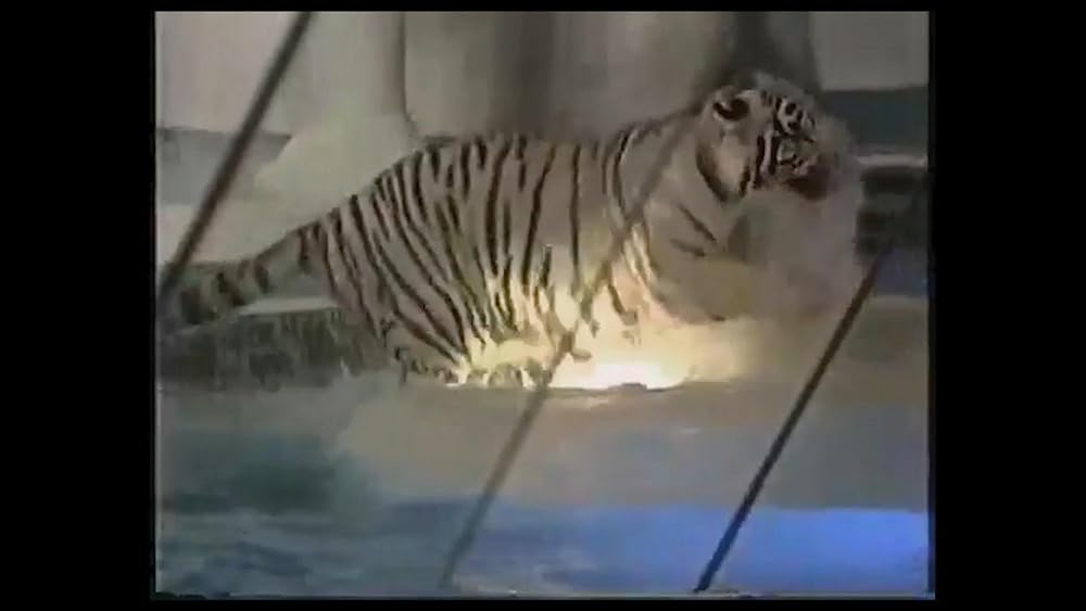 ドーナツキングの画像