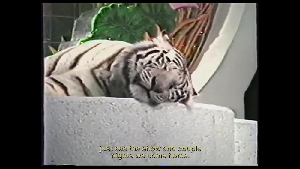 ドーナツキングの画像