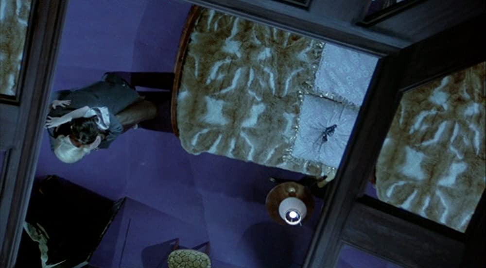 「リスボン特急」カトリーヌ・ドヌーブ & アラン・ドロンの画像