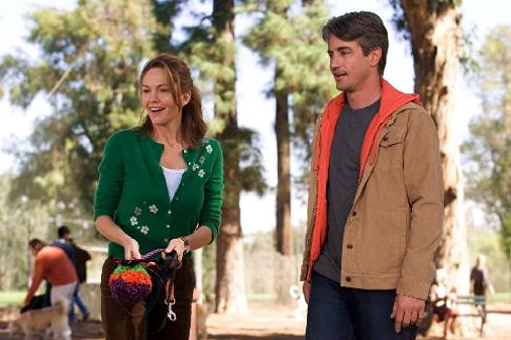 「理想の恋人.com」ダイアン・レイン & ダーモット・マローニーの画像