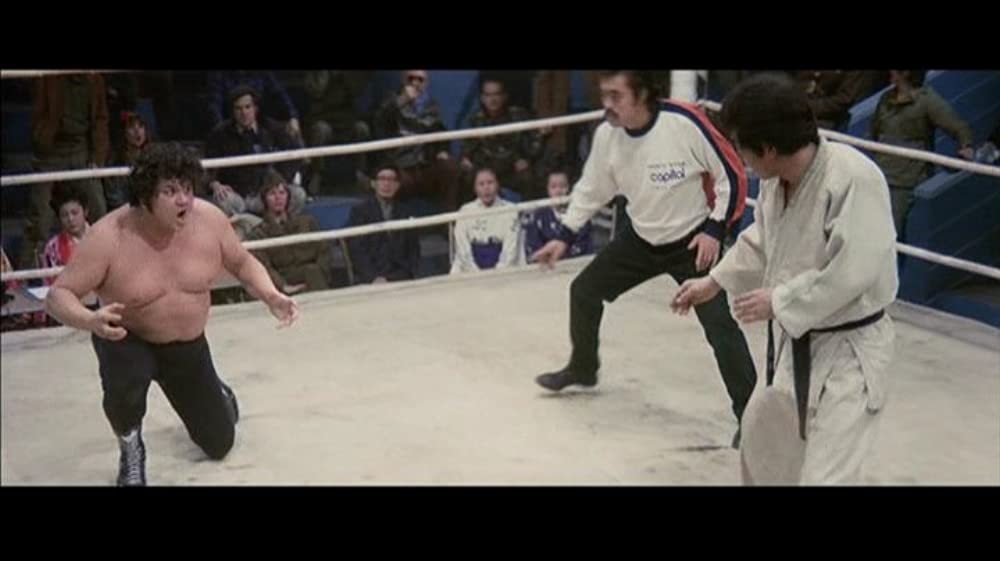 「空手バカ一代」の画像