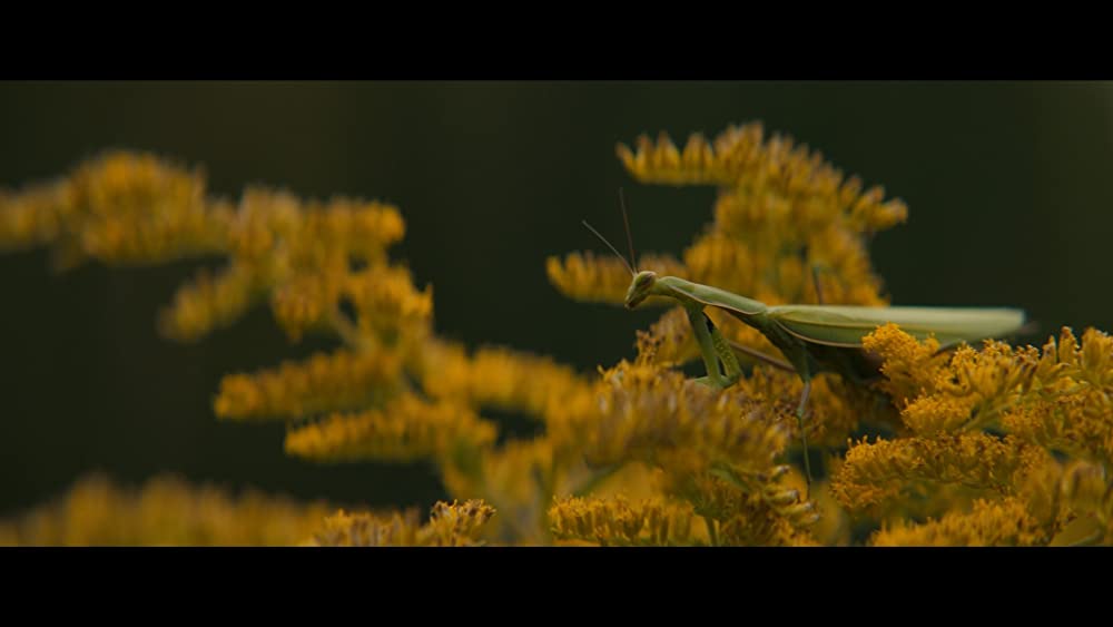 BECKY ベッキーの画像