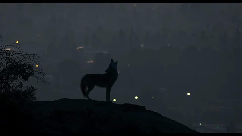 アネットの画像