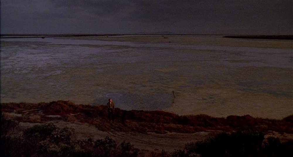 レイジング・ケインの画像