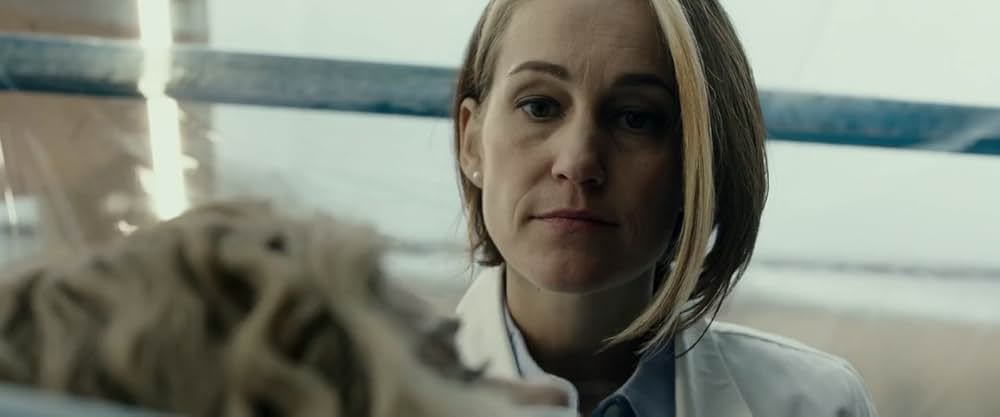 スポンティニアスの画像