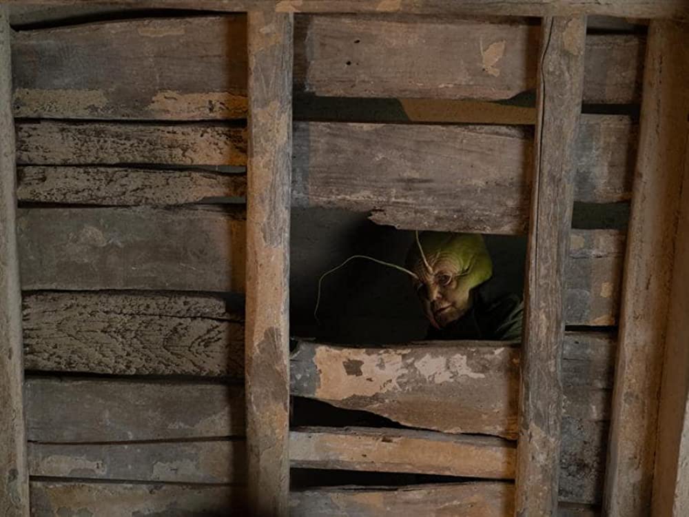 ほんとうのピノッキオの画像