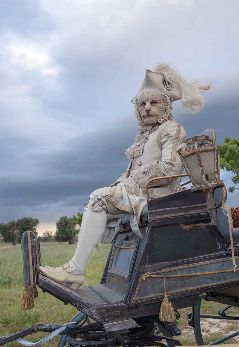 ほんとうのピノッキオの画像