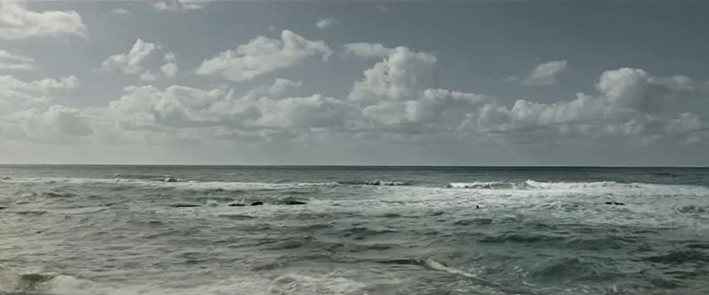 ほんとうのピノッキオの画像