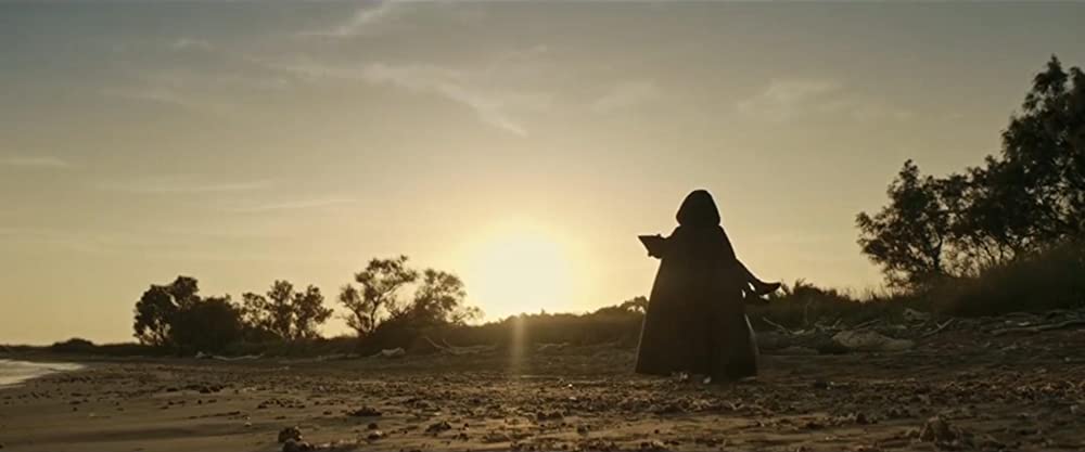 ほんとうのピノッキオの画像