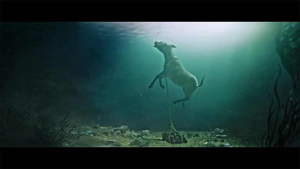 ほんとうのピノッキオの画像