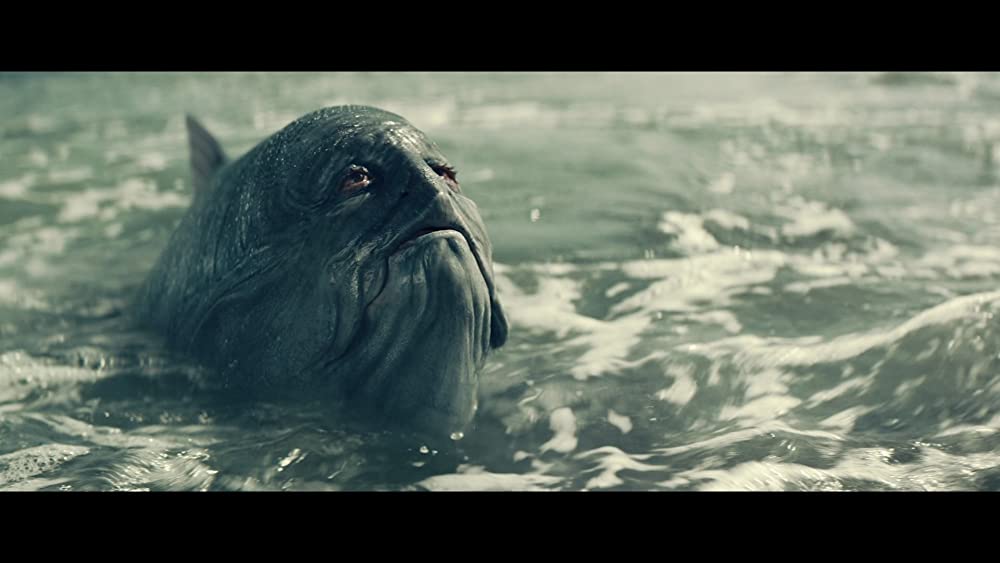 ほんとうのピノッキオの画像