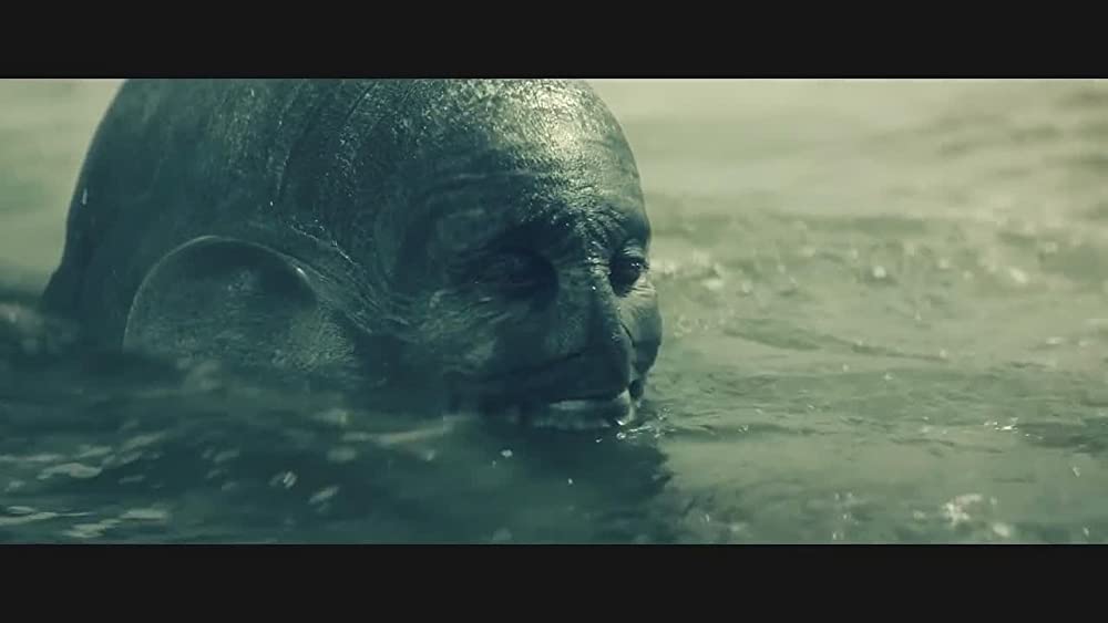 ほんとうのピノッキオの画像