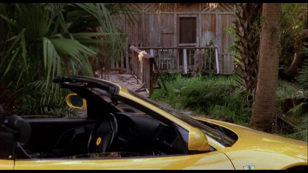 ワイルドシングス4の画像