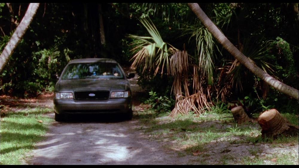 ワイルドシングス4の画像