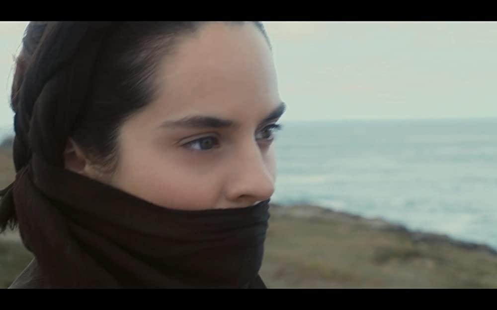 燃ゆる女の肖像の画像