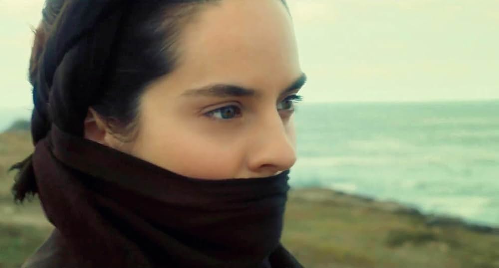 燃ゆる女の肖像の画像