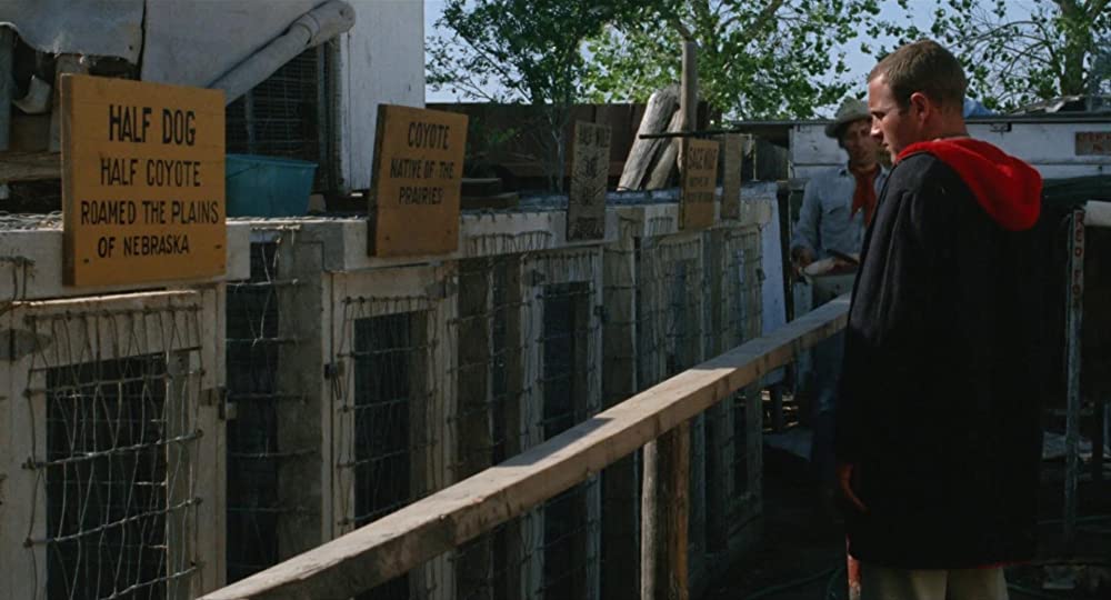 雨のなかの女の画像