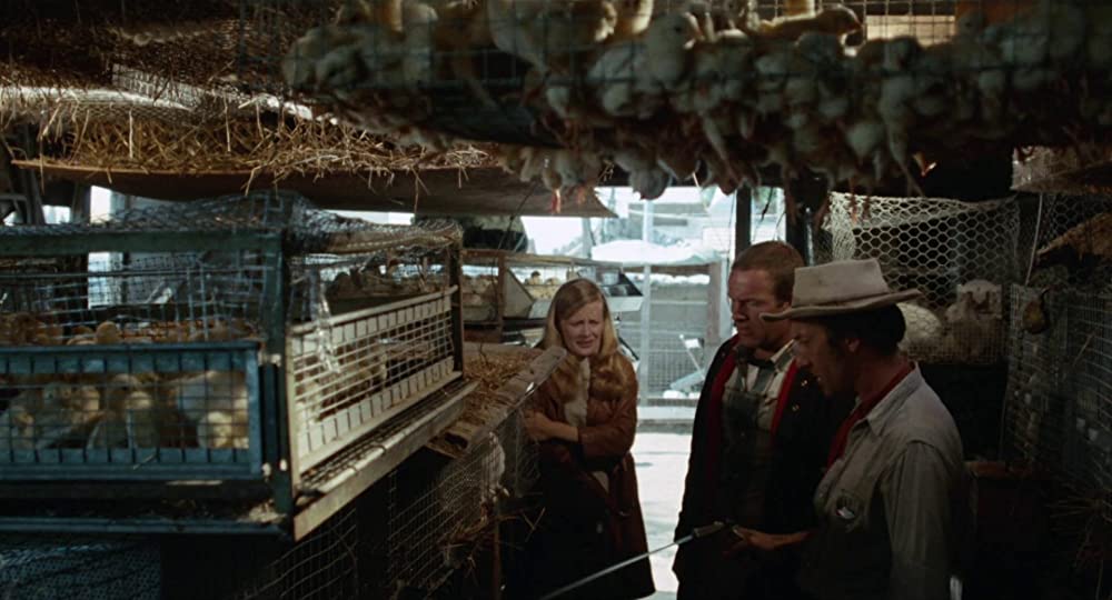 雨のなかの女の画像