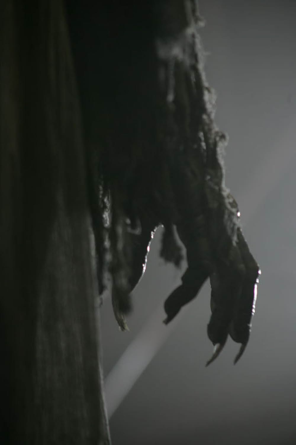 レジェンド・オブ・ヴィー 妖怪村と秘密の棺の画像