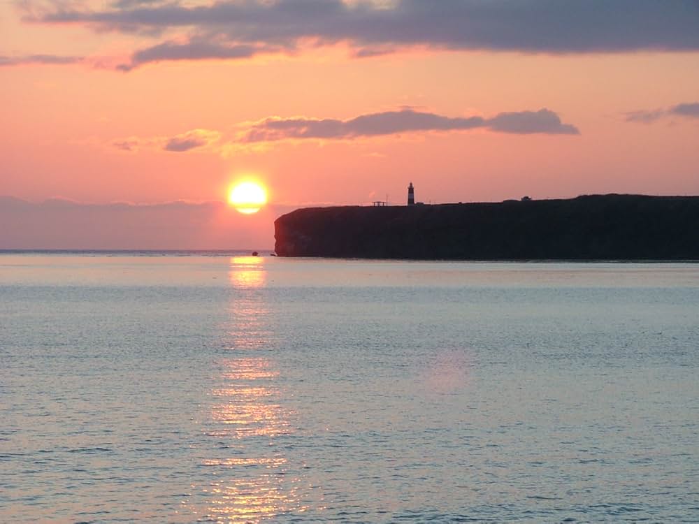 「狙った恋の落とし方。」の画像