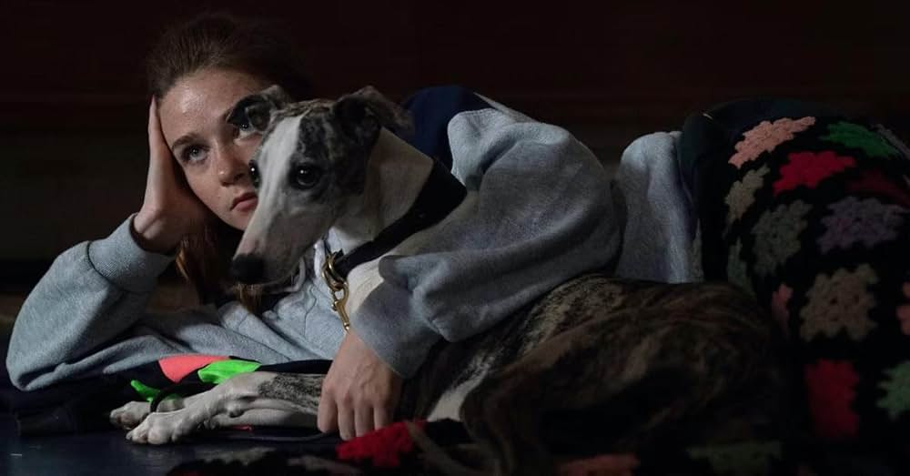 ジャングルランドの画像