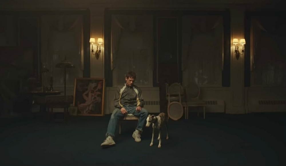 ジャングルランドの画像